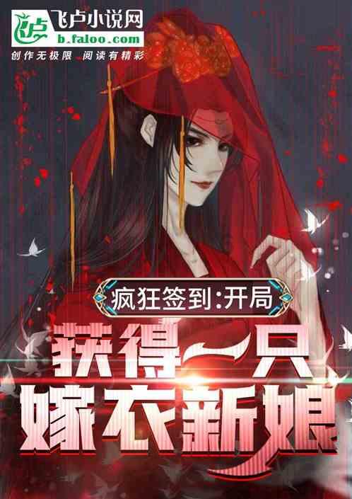 热带假日