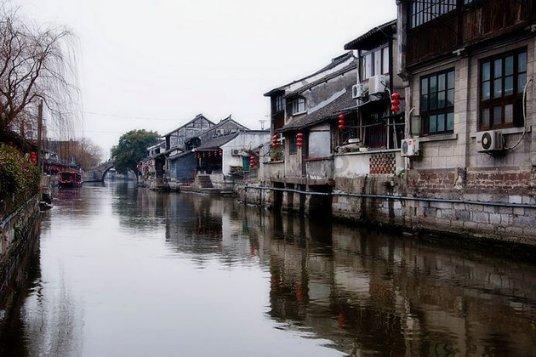 动物帮帮忙保卫家园